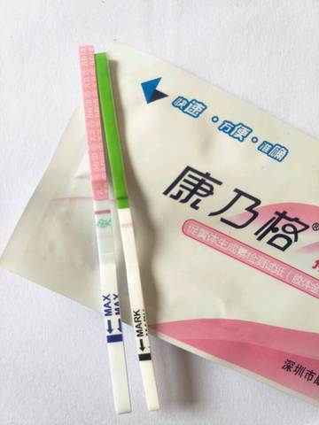 journal_insert_pic_1020226038