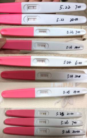 journal_insert_pic_1020700818