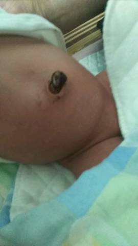 journal_insert_pic_1020574172