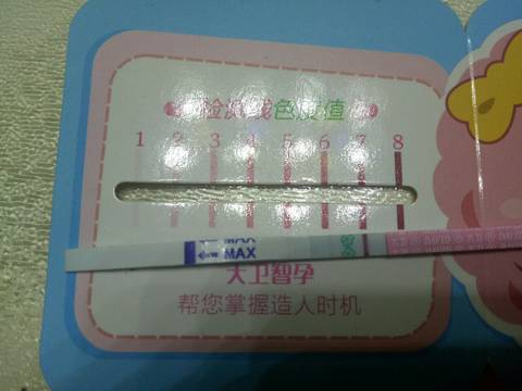 journal_insert_pic_1021401362