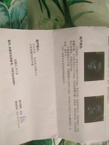 journal_insert_pic_1021065194