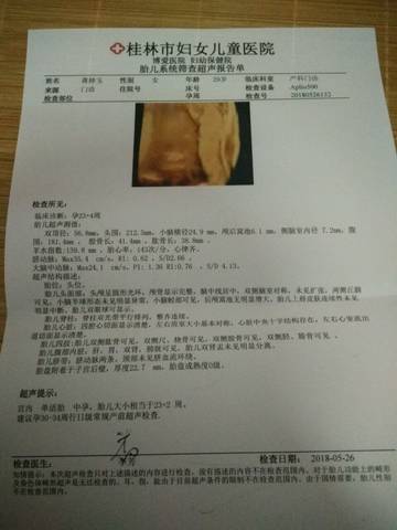 journal_insert_pic_1021416582
