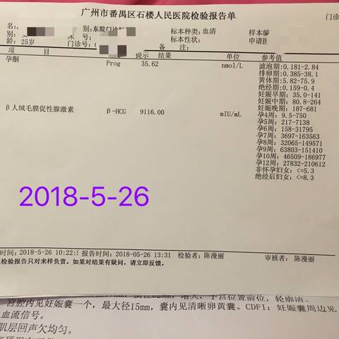 journal_insert_pic_1021818163
