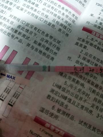journal_insert_pic_1022839829