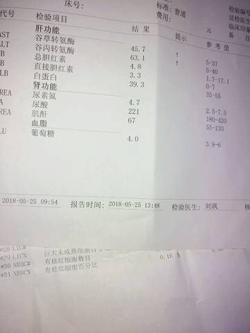 journal_insert_pic_1022670317