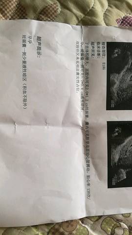 journal_insert_pic_1022542240