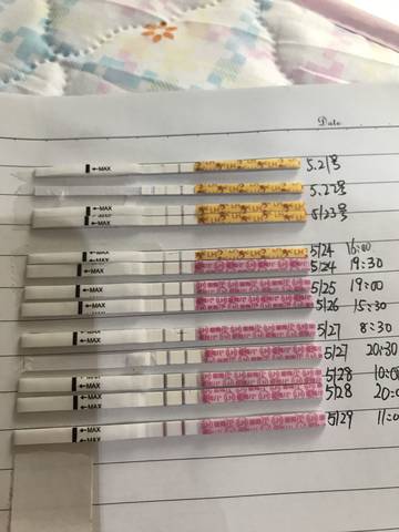 journal_insert_pic_1022527313