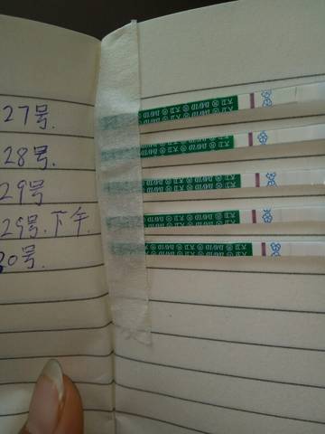 journal_insert_pic_1023100584