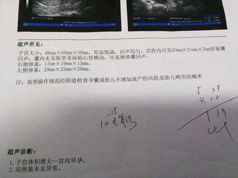 journal_insert_pic_1023590979