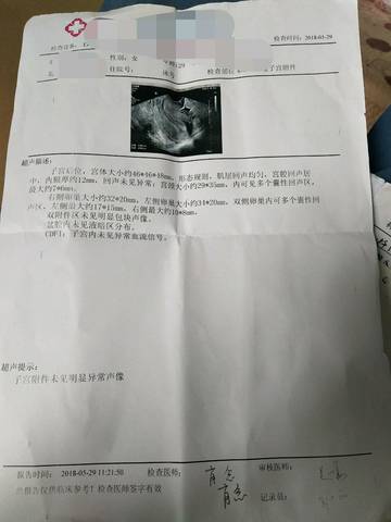 journal_insert_pic_1023108798