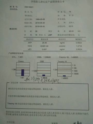 journal_insert_pic_1024224655