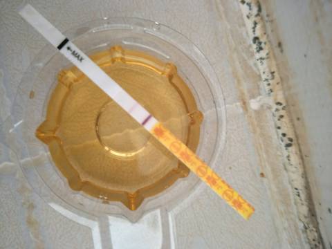 journal_insert_pic_1023816472