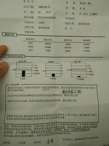 journal_insert_pic_1024841464