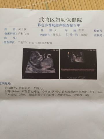 journal_insert_pic_1024975296