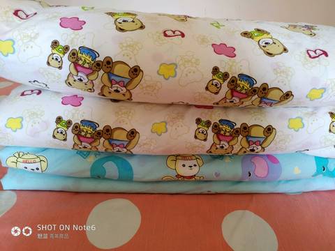 journal_insert_pic_1024705531