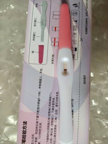 journal_insert_pic_1025601612