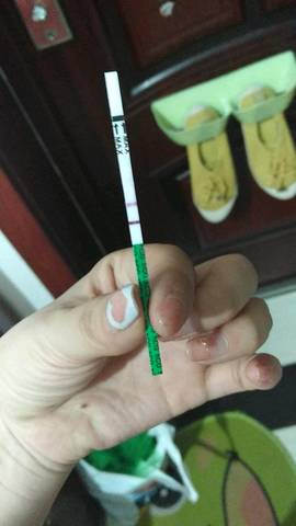 journal_insert_pic_1026617294