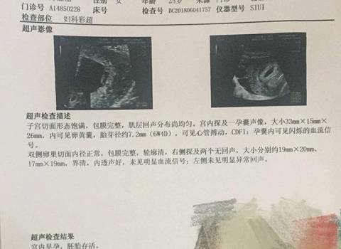 journal_insert_pic_1027490257