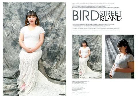 journal_insert_pic_1028679433