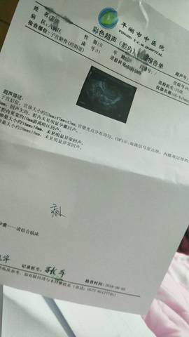 journal_insert_pic_1030391096