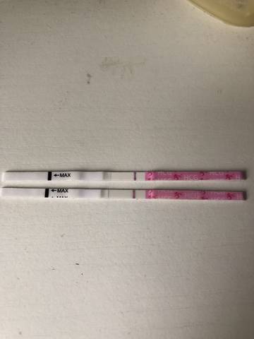 journal_insert_pic_1030757013