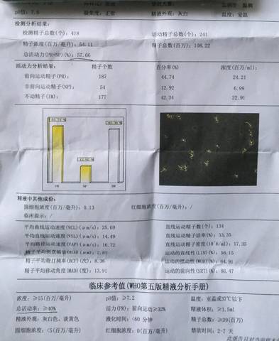 journal_insert_pic_1031074213
