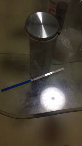 journal_insert_pic_1031922113