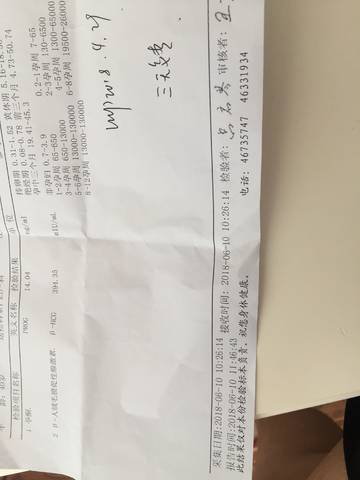 journal_insert_pic_1031600494