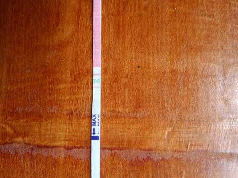 journal_insert_pic_1031647622