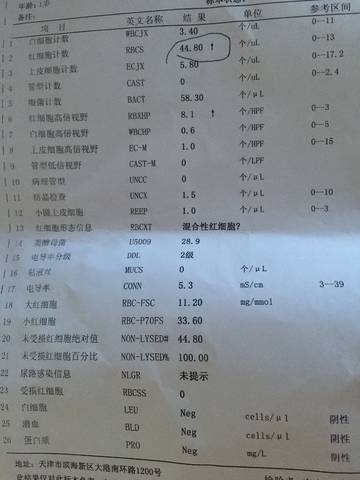 journal_insert_pic_1032377153