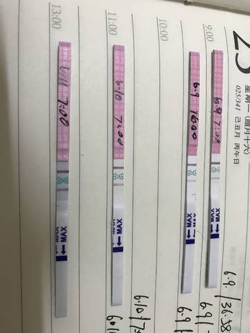 journal_insert_pic_1032200516