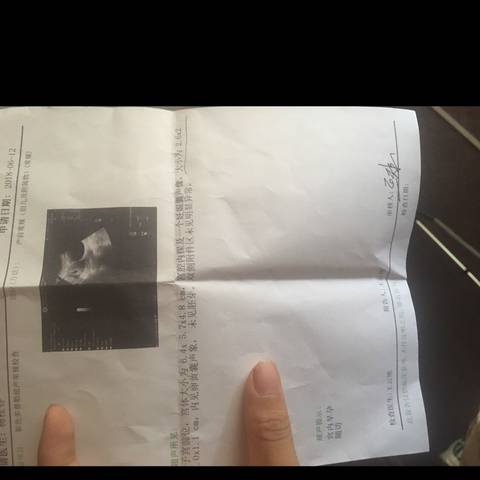 journal_insert_pic_1033878141