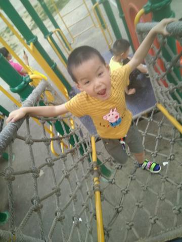 journal_insert_pic_1034264602