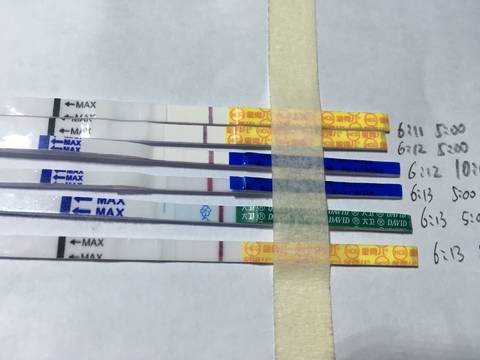 journal_insert_pic_1033631548