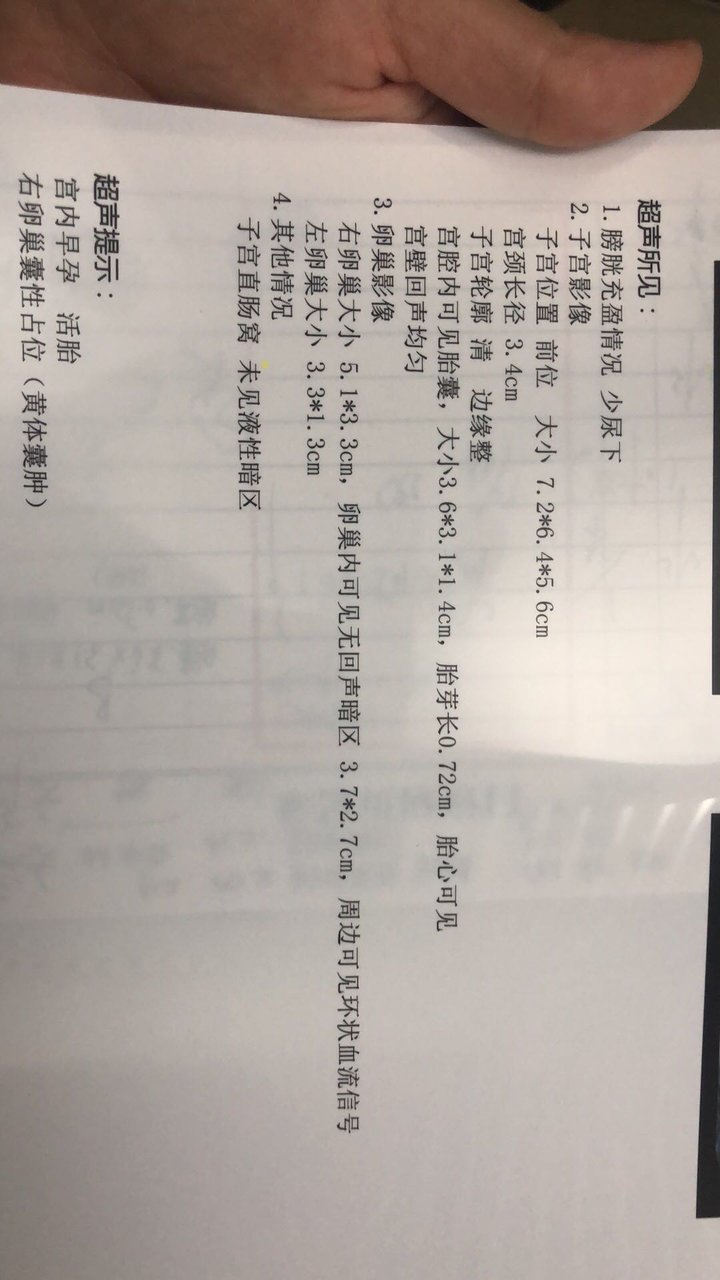 接胎心胎芽啦，像个小茄子