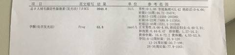 journal_insert_pic_1034785512