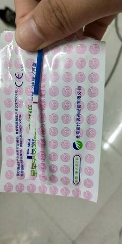 journal_insert_pic_1034813644