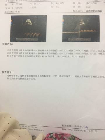 journal_insert_pic_1035437342