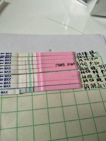 journal_insert_pic_1035766372