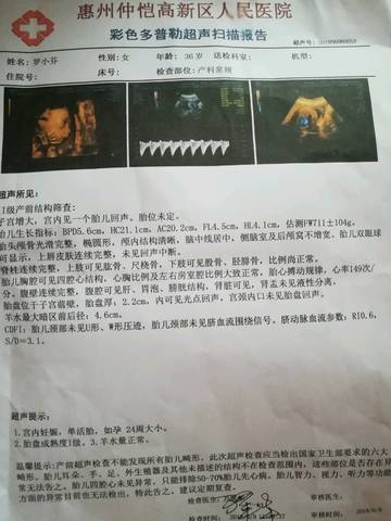 journal_insert_pic_1036179065