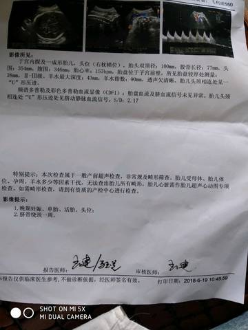journal_insert_pic_1038002558