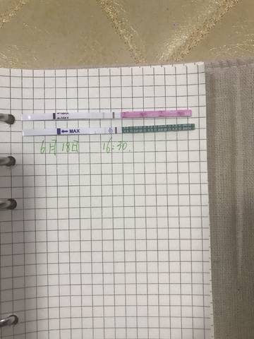 journal_insert_pic_1037650340