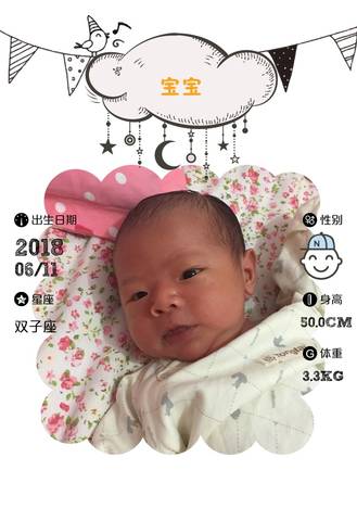 journal_insert_pic_1038932848