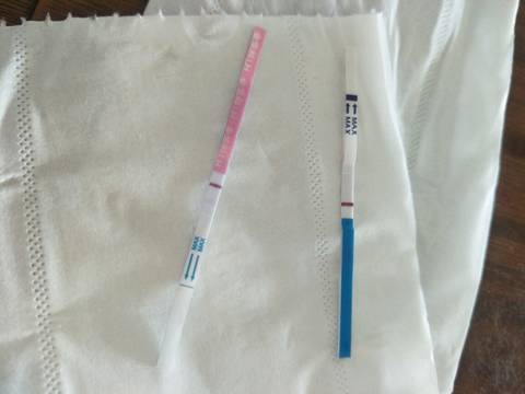 journal_insert_pic_1038490128