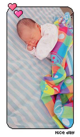 journal_insert_pic_1039389847