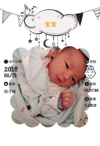 journal_insert_pic_1039443315