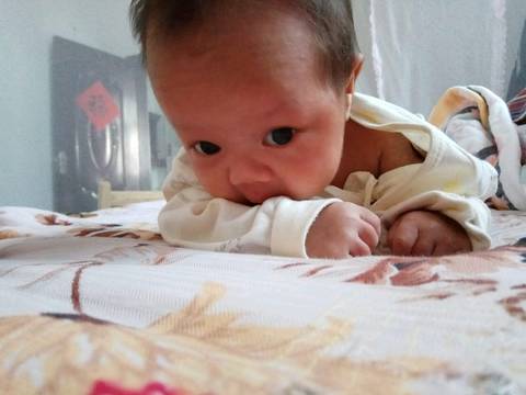 journal_insert_pic_1039684894
