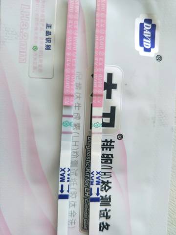journal_insert_pic_1039841293