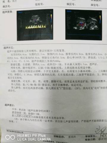 journal_insert_pic_1040151322