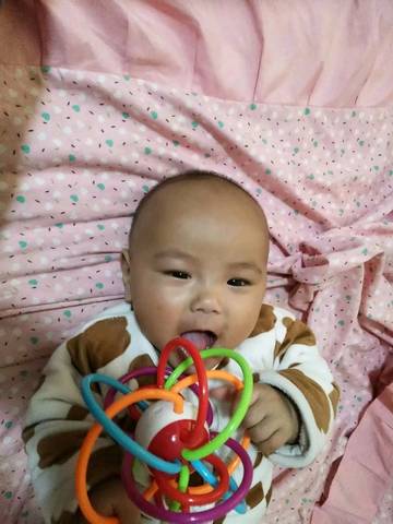 journal_insert_pic_1040793153
